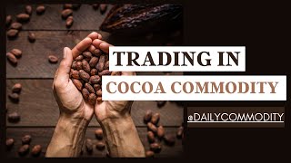 How to trade Cocoa Commodity | Cocoa Commodity | Daily Commodity