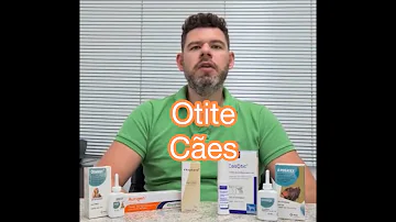 Como tratar fungo no ouvido do cachorro?