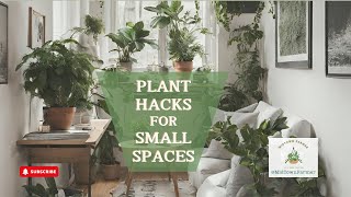 Jungle Nooks: Maximize Your Space with Houseplants #plants