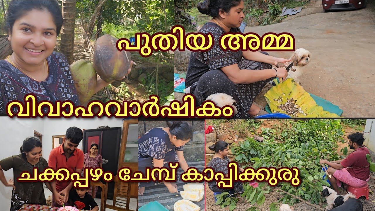 ചില ഗ്രാമക്കാഴ്ചകൾ💞