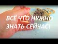 ВСЁ ЧТО НУЖНО ЗНАТЬ СЕЙЧАС! (работа, бизнес, финансы, возможности) ГАДАНИЕ НА КОФЕ