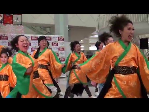 ポレポレ新春YOSAKOI'16 雅華組 - 煌めき、ふるさとと共に 2回目