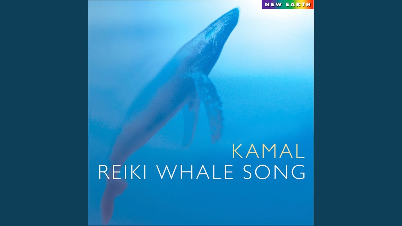 在 YouTube 上观看 Whale Dreaming