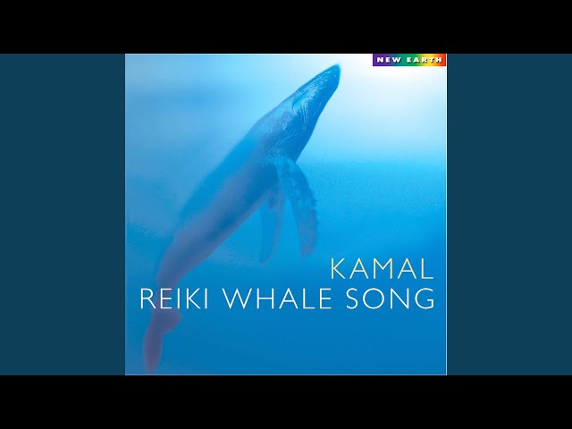 Kamal - Whale Dreaming