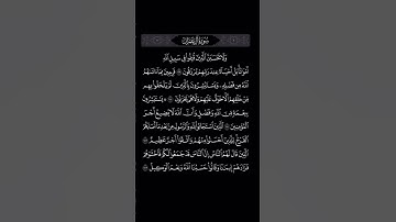 سورة ال عمران #اكسبلور #تلاوة_مميزة #قرآن #محمد_اللحيدان