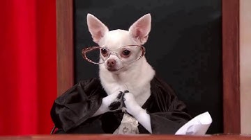 Brown v. Plata: Oral Argument - November 30, 2010