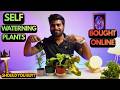 4 Self Watering Plants Unboxing & Hindi Review 🌱 | Worth It or Not?