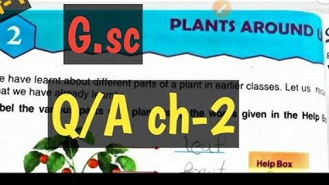 Plant Around Us Question /Answer class- 3rd DAV School science by GOOD NICE 🎯