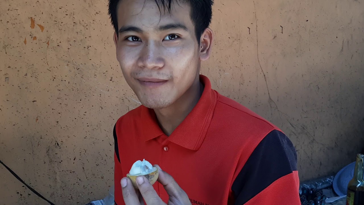 Buah kecapi 