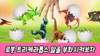 한국어ㅣ로봇 트리케라톱스 알을 부화시켜보자! 공룡 만화,  다양한 공룡이름 외우기, 컬렉타 #230ㅣ꼬꼬스토이