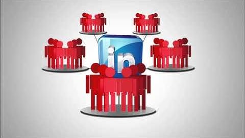 Anima roy (SMM provider)