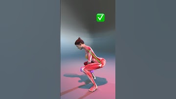 Mastering Squats & Sumo Squats: Proper Form for Maximum Results