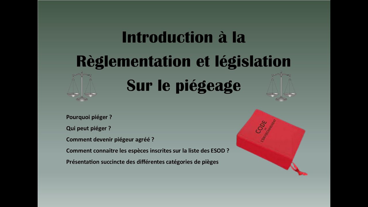 d-claration-triennale-de-pi-geage-vutk