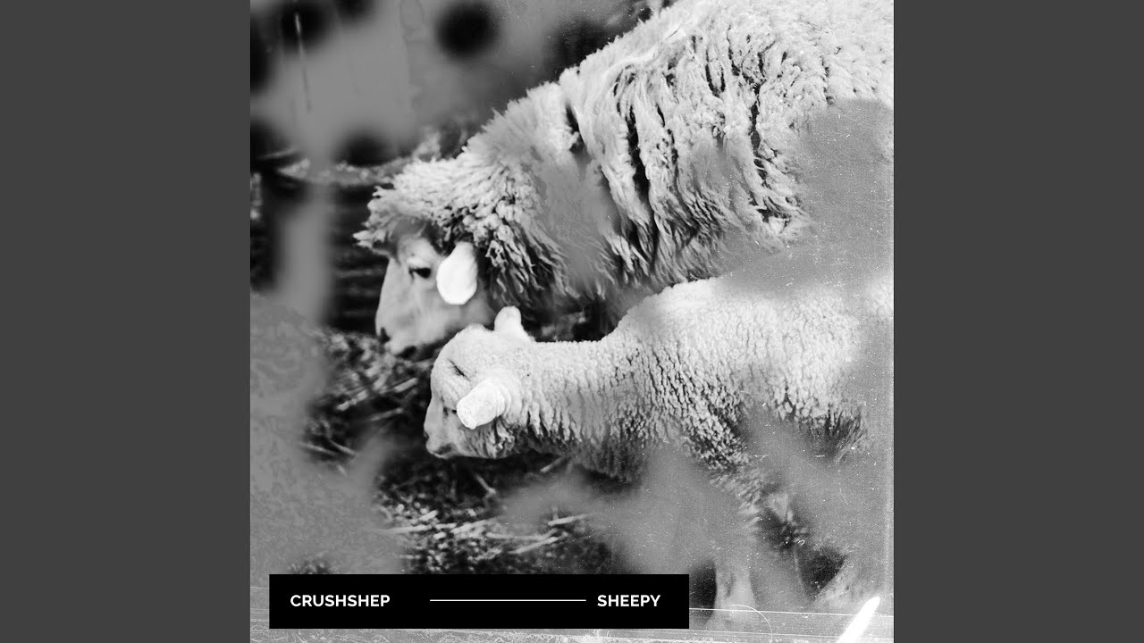 Animal Kings - YouTube