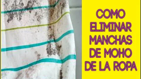 ¿Cómo se eliminan los ácaros del moho de la ropa?