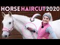 HORSE HAIRCUT 2020 | Clipping my horse MYSELF! Again! Oh Dear.. | This Esme