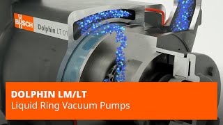 Жидкостно-кольцевые вакуумные насосы серии DOLPHIN LM/LT — Busch Vacuum Solutions