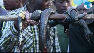 Panic, sorcery claim after snake killed at Baringo assembly