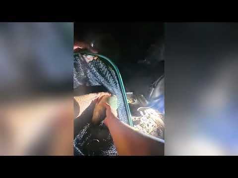 Câu cá phiêu lưu - T10