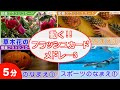 動く フラッシュカード 4種連続 メドレー3 幼児向け単語60語 0歳〜3歳から始める 知育 ・ 幼児教育　Japanese Flash card medleys for kids