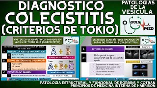 CRITERIOS DE TOKIO COLECISTITIS | GuiaMed screenshot 4