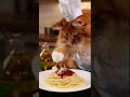 #SoraAI #CatChef #CookingCat #PastaTime #FunnyAI #RealisticAI #ChefWhiskers#shorts #cat #cooking #ai