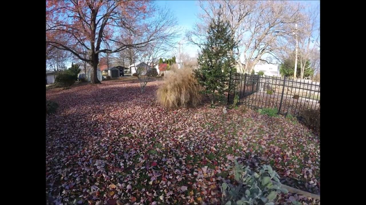 Dilated Time Acoustic Drone Music for Focus (Lil Holly Tree Mix)