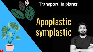 Apoplastic and Symplastic pathway of water transport || Plant physiology ||