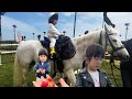 海外生活vlog/日本學騎馬還挺貴的、一個月要11000💴我給孩子們種的草莓熟了