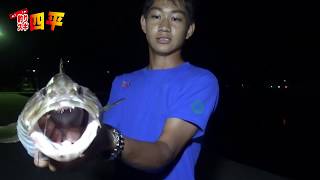 夜！高校生が化物を釣りあげてしまう(233話目)