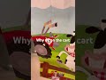 Why