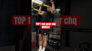 Top 1 Exo Pour Chaque Muscle