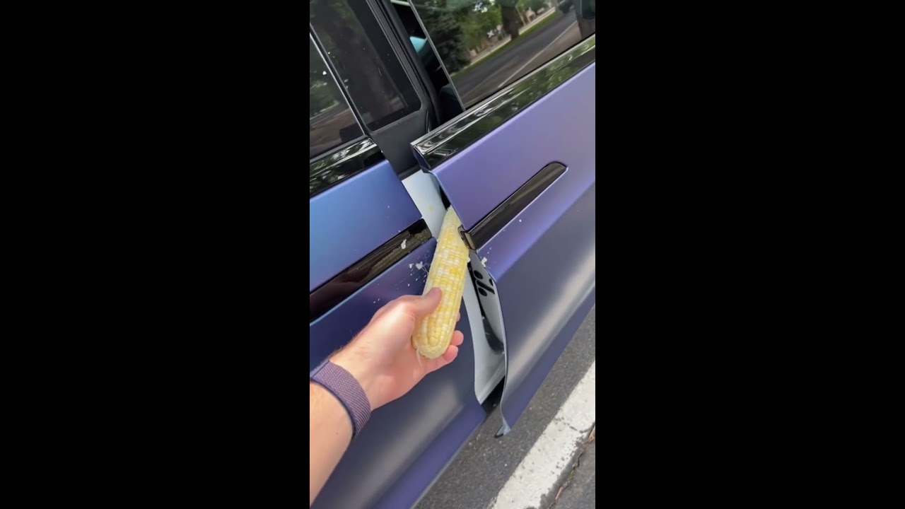 Tesla Model X Doors VS Corn 