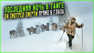 картинка: Истории про волков и людей - его последняя ночь. Таежные истории. Аудио рассказы. Случай в тайге