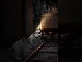 «Кошка-шахтёр в шахтной лаве» #cat #веселыекоты #funny