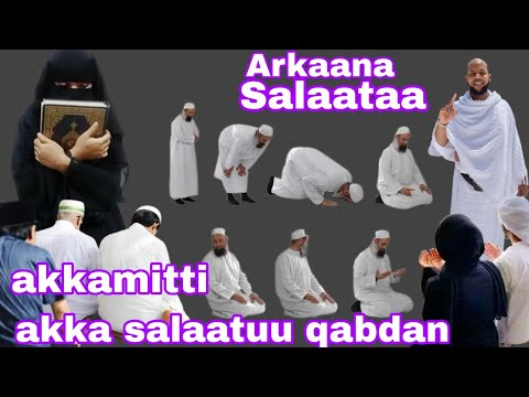 Sheekh Jabir Abdullah Arkaana Salaataa Ibaadaa Salaata Keessatti Godhani Fi Akkataa Itti Salaatan