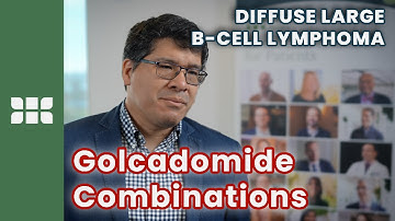 Golcadomide ± Rituximab in Relapsed/Refractory Large B-cell Lymphoma | Julio Chavez, MD, MS | #ASH24