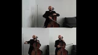 Band-Maid / Sion cello cover