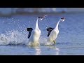 MOST BEAUTIFUL WALTZ EVER - Waltz of Love by Ernesto Cortazar