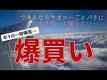[フランス・パリ在住日本人主婦]一時帰国でスーパーはしごして、本気の爆買い！