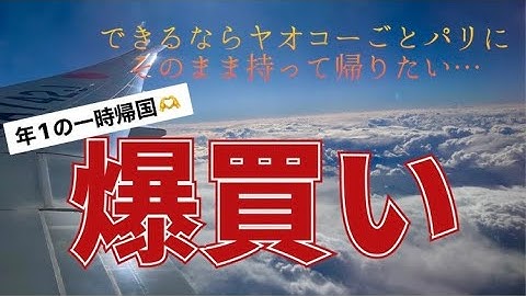 [フランス・パリ在住日本人主婦]一時帰国でスーパーはしごして、本気の爆買い！