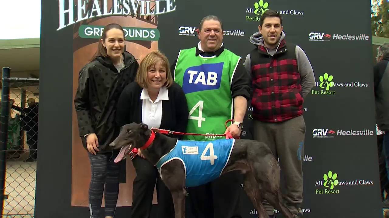 racing fever motor apk 2016 Healesville Cup Heat 6