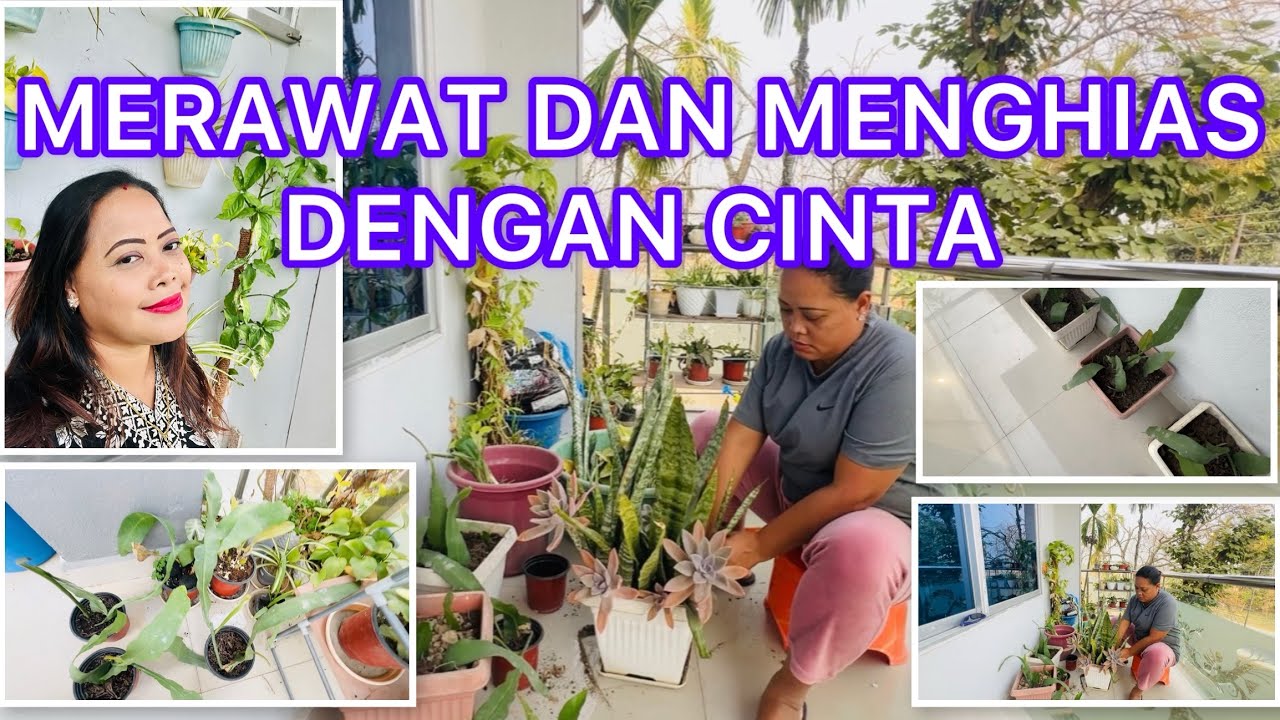 ВИДЕОБЛОГ 41. ЗАБОТА И ДЕКОРИРОВАНИЕ С ЛЮБОВЬЮ @AngeliaRomie