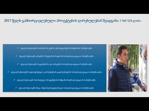 2017 წლის საქმიანობის ანგარიში გიორგი ბეგაძე