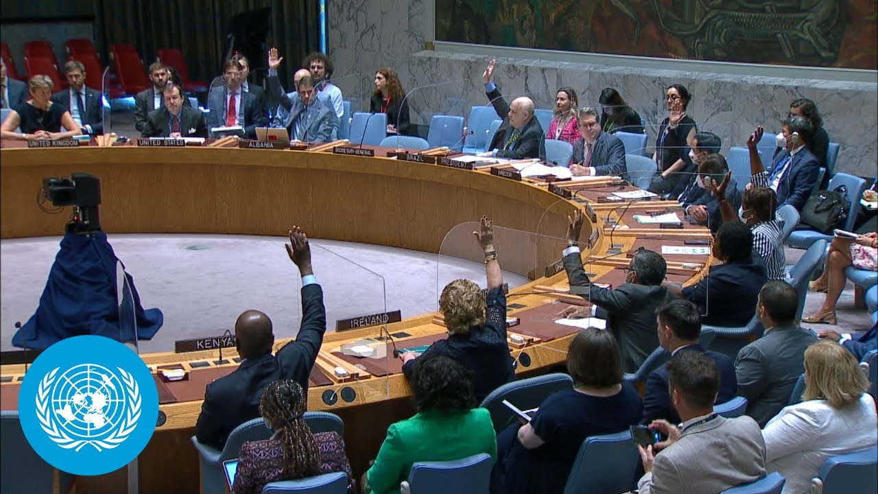 Syria: Security Council Adopted Resolution Re-authorising Cross-border Humanitarian Aid (Full)