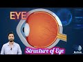 Eye | Structure of EYE | Biology 10 | Chapter 03 @BioBrain_by_rafahkhan