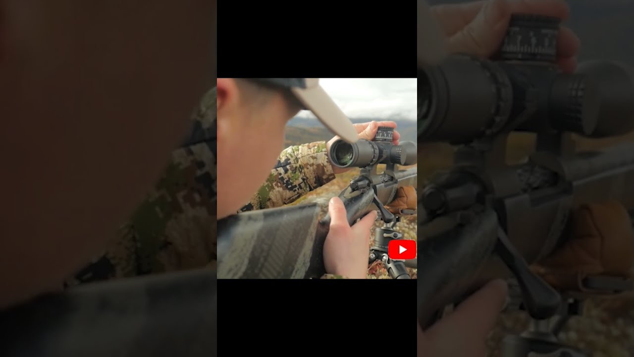 700 Yards DIY Bull Moose Hunt In ALASKA 