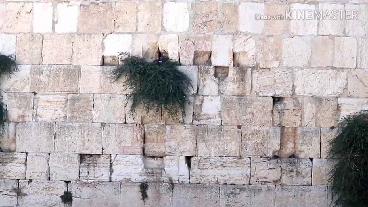 Western Wall YouTube