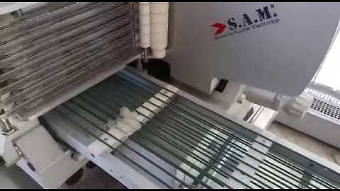 SLICING MACKAREL FISH with S.A.M. 308SC