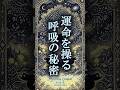 【嘘だろ?】呼吸一つで現実が激変する秘密